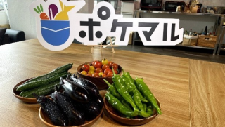 株式会社ポケットマルシェの画像